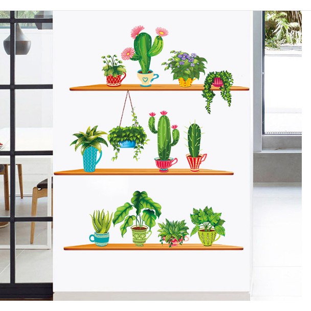 Decal  xương rồng 3 kệ  - XH9309392- thaomivi | BigBuy360 - bigbuy360.vn