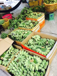 Chuối sáp nhệ bến tre( combo 10kg )