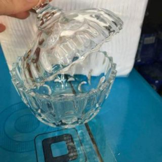 Combo 5 thố thủy tinh