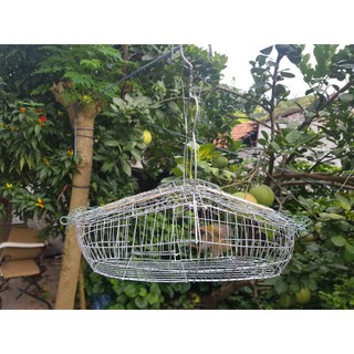 Lồng bẫy chim khuyên, sâu chất liệu thép kèm 2 cóng