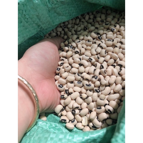 Đậu trắng mắt cua tây ninh mới