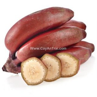 Combo 2 cây Chuối đỏ Dacca cây cấy mô