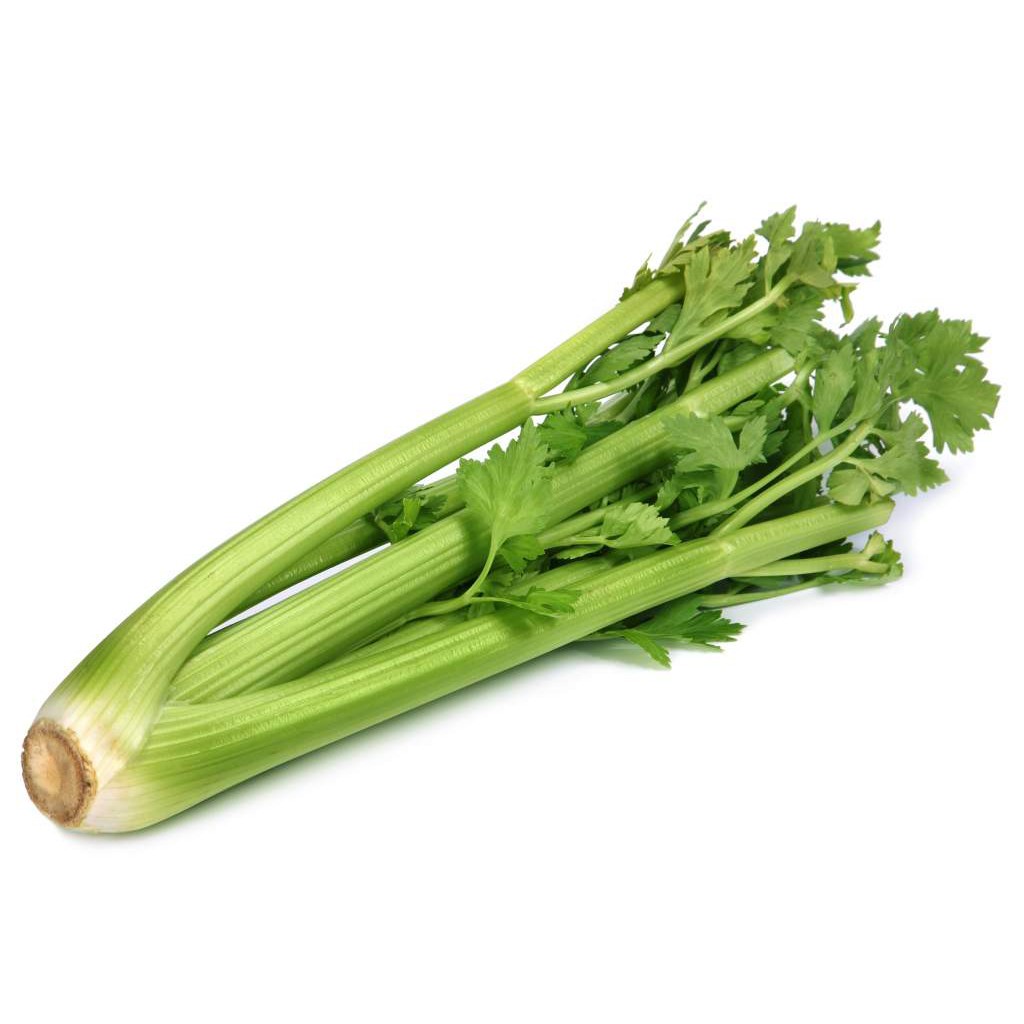 Hạt rau Cần Tây (Cần Tàu Pháp) - Gói 10 gram