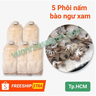 (Combo 05 Túi) Phôi Nấm Bào Ngư Xám