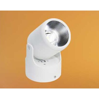 ĐÈN RỌI  LED 7W