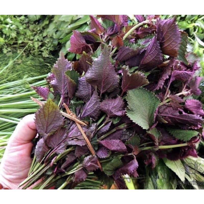 1Kg Lá tía tô khô sạch ,thơm mới