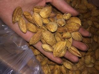 Nho khô, hạnh nhân