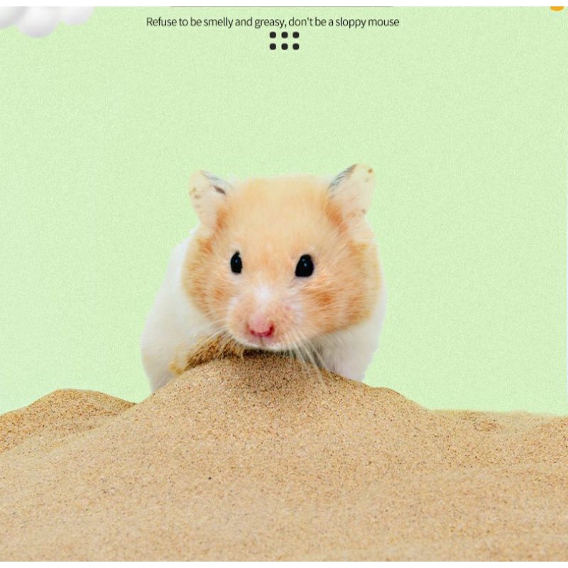 Cát sa mạc 1kg làm lót chuồng,cát tắm cho hamster và thú cưng nhỏ