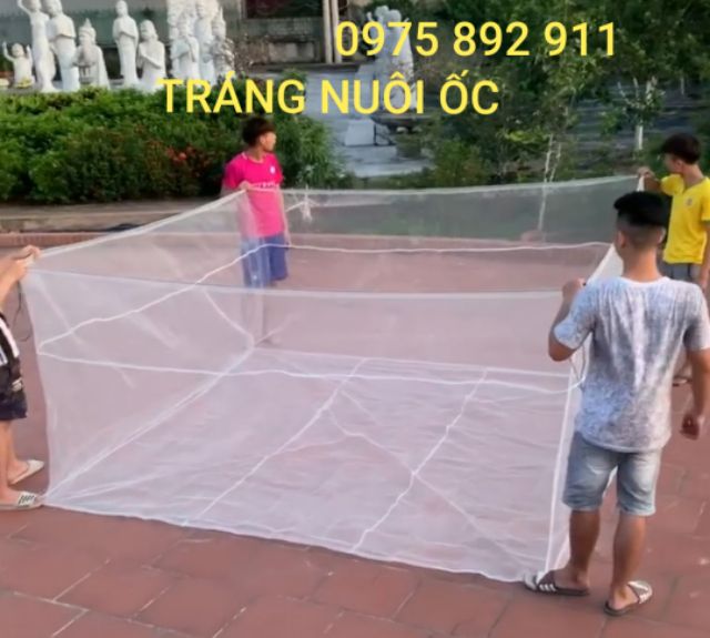 Tráng nuôi ốc nhồi loại 3x3x1,5