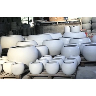 Chậu xi măng phom tròn (chậu banh)