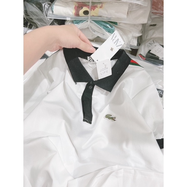 ÁO POLO THÊU CÁ SẤU MÀU TRẮNG CỔ ĐEN CHO NỮ