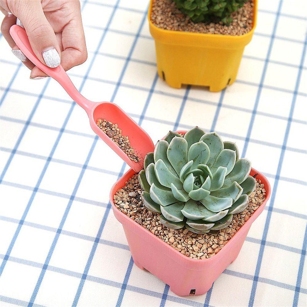 Set 3 Dụng Cụ Gieo Hạt Trồng Cây Cảnh Chuyên Dụng