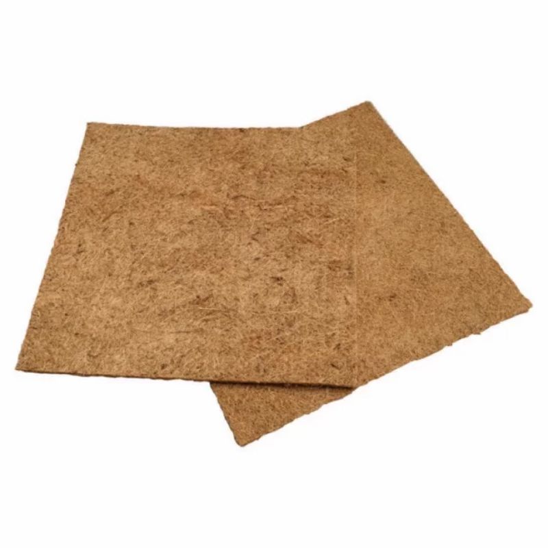 Xơ dừa miếng 50x50cm