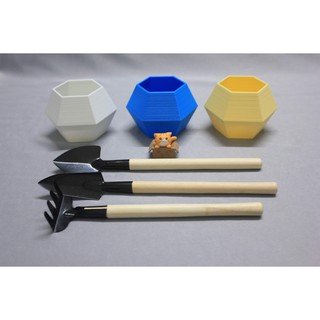 Chậu cây lục giác