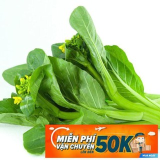 20g Hạt giống Cải ngồng