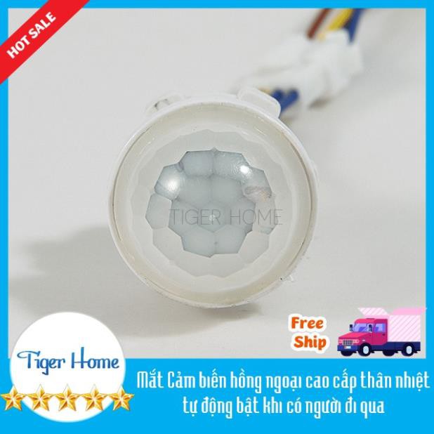 Công tắc cảm biến chuyển động hồng ngoại mini tắt mở đèn tự động