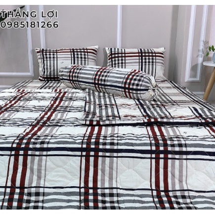 Vỏ gối cotton Thắng Lợi chính hãng ( gối nằm - gối ôm ) [ảnh thất 3]