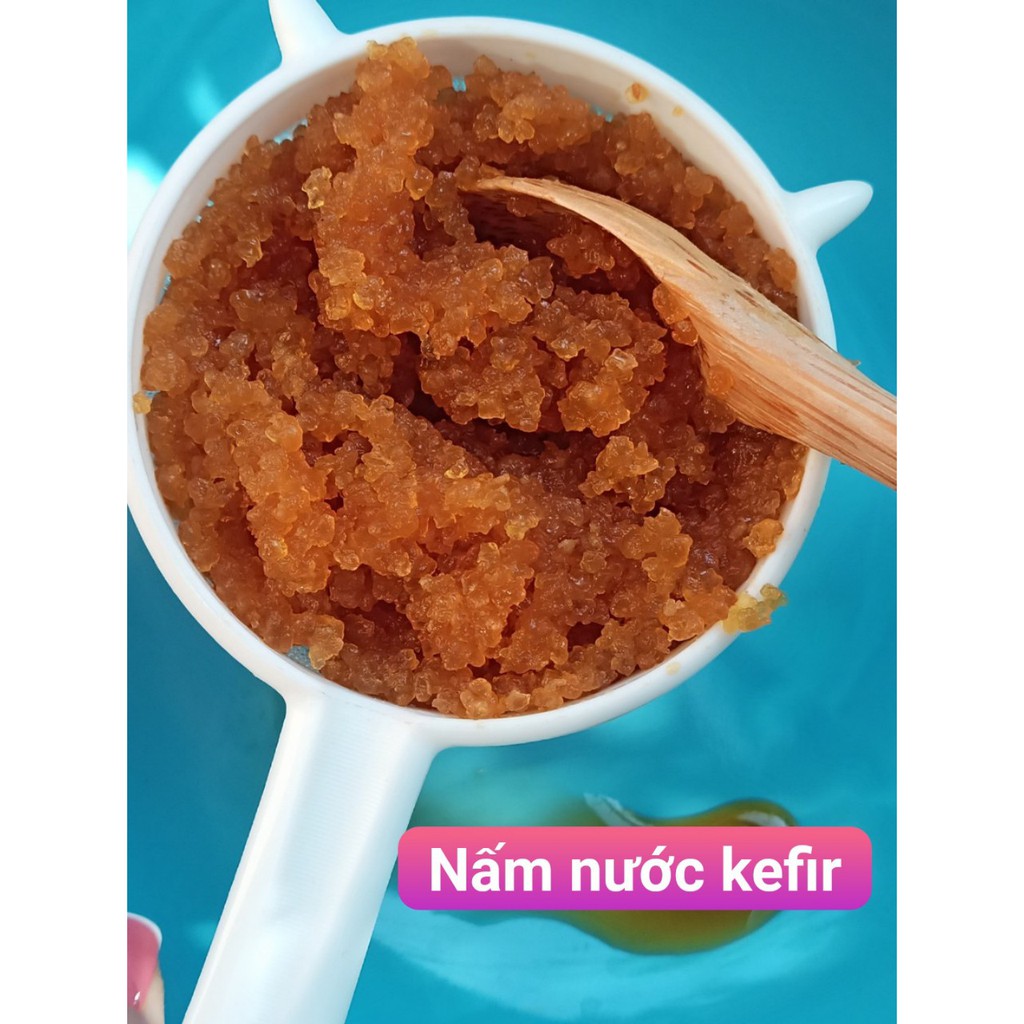 Nấm nước kefir- water kefir làm kefir nước dừa, đường & đồ uống có gas- KL 10g