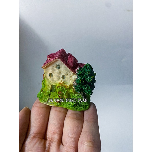 CẢNH NHÀ TRANG TRÍ HỒ CÁ NON BỘ 6X4X5CM MẪU KHÁC