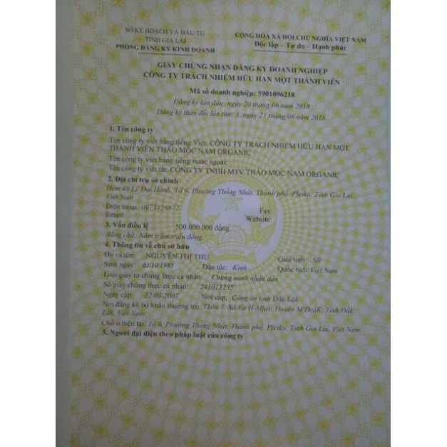 [Chuẩn Auth] -  Sâm Bổ Kiện Nam Thảo Mộc | BigBuy360 - bigbuy360.vn