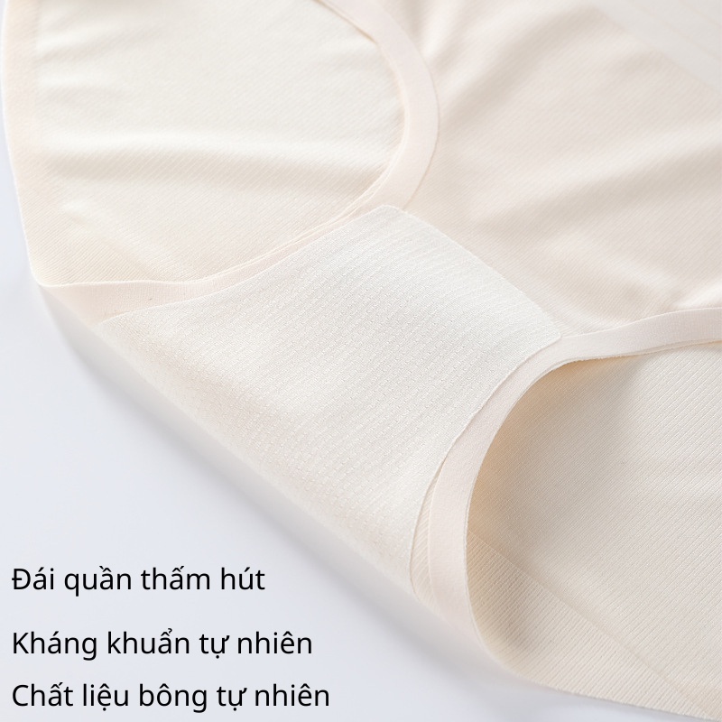 Quần lót nữ đúc su Eva Bra hỗ trợ gen nịt bụng chống cuộn định hình eo thon ôm sát tàng hình - 1538