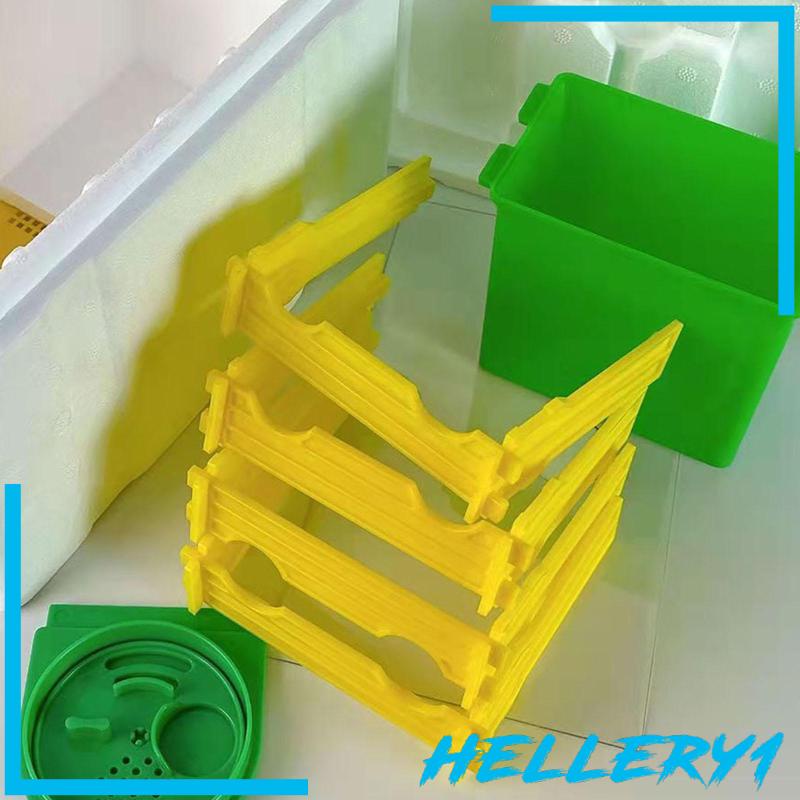 Hộp Nuôi Ong Chúa Breeding Queen Bee 1