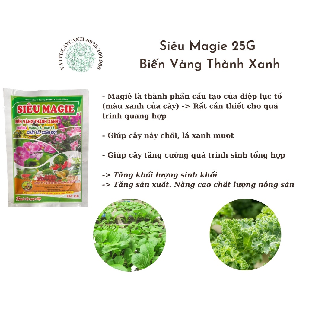 Siêu Magie 25G - Biến Vàng Thành Xanh - Giúp Cây Xanh Tốt - Dày Lá - Super Magie