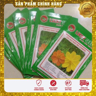 Hạt Giống Hoa Cúc Sao Nháy mix(100 hạt)