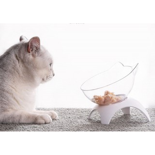 Chén ăn đơn chống gù - một chén đơn