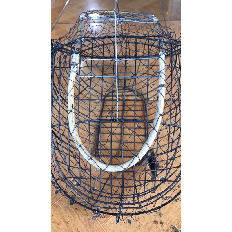 Lụp đen bẫy chào mào, bông lau....