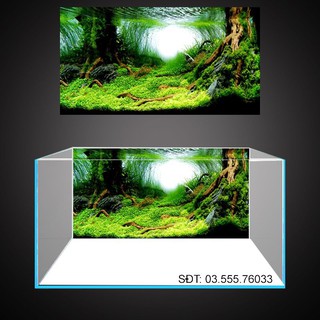 tranh phông nền 3D dán hồ cá, bể thủy sinh cao cấp, có keo sẵn trên bề mặt cực nét, có thể in theo kích thước yêu cầu