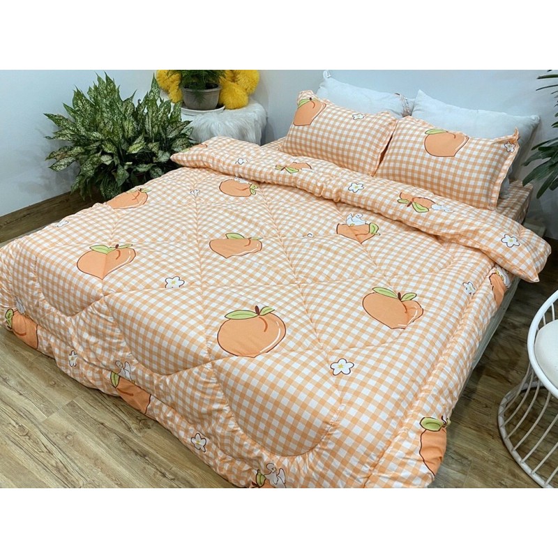 Bộ sét chăn phao 5 món cotton poly Đào kẻ