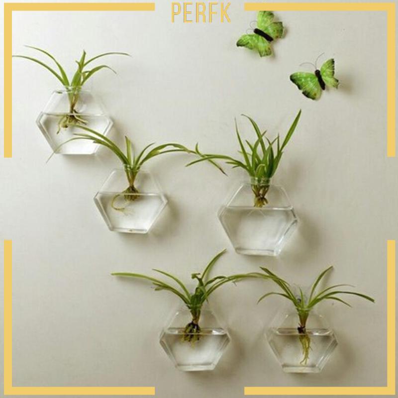 Chậu Kính Trồng Cây Treo Tường Kích Thước 4 ''