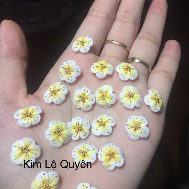 Hoa bột nail