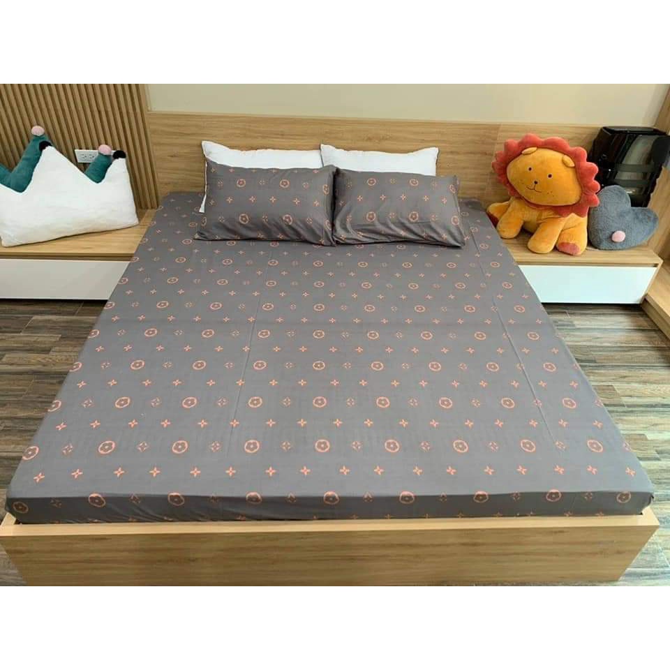 Bộ Ga Gối 3 Món 1m6x2m,vải cotton poly mẫu mới 2022,hcm-mẫu khủng long cầu vồng