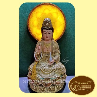 Hào Quang _ Mẫu Trúc Chỉ