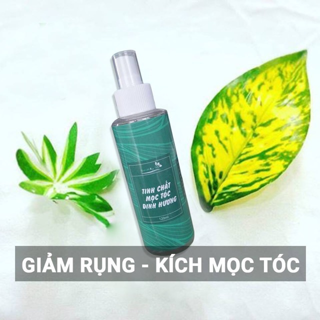 Dầu gội trị rụng tóc ĐINH HƯƠNG NHU