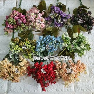 CÀNH HẠT XỐP
