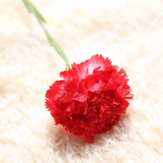 ❌⭕️❌ Hoa cẩm chướng ( ko kèm lọ) 