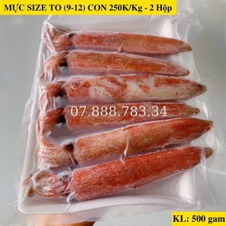 Mực Ống Tươi Ngon Giòn Ngọt Loại to 9 đến 12 Con Kg