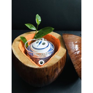 bình đựng ấm trà trái dừa
