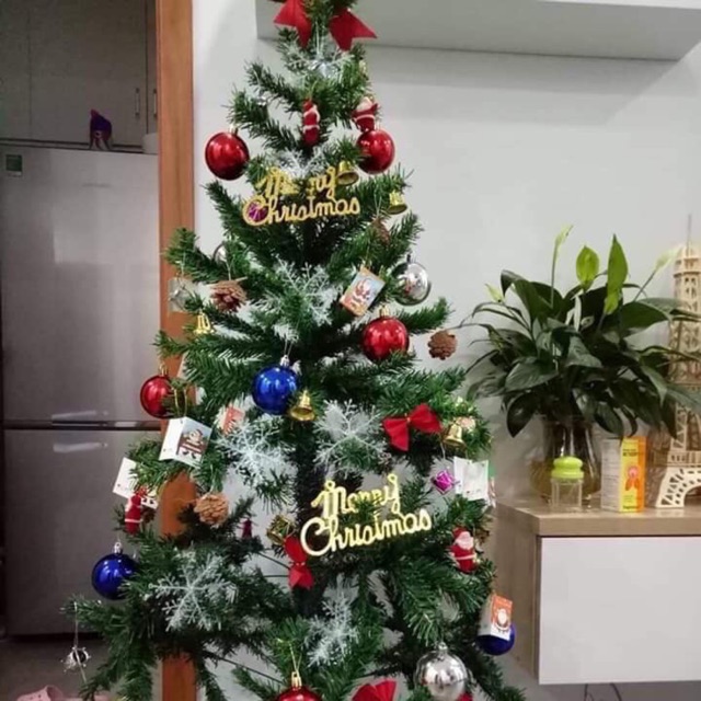 Cây thông noel cao m5