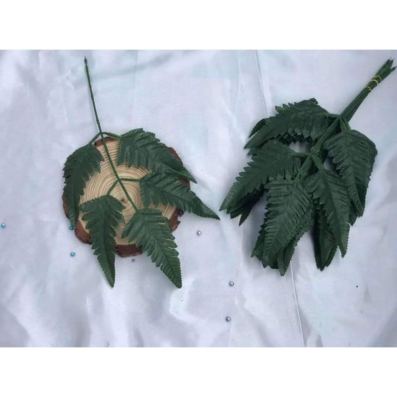 Lá dương sỉ nhỏ trang trí