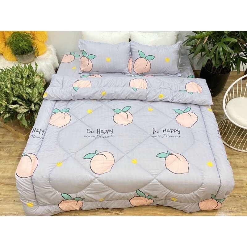 Chăn phao bốn mùa Cotton Poly kích thước 1m8-2m dày dặn nhiều mẫu mới nhất 2023