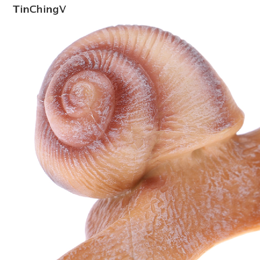[TinChingV] Đồ trang trí Côn Trùng Động Vật mini Trang Trí Chu Kỳ Mọc Răng