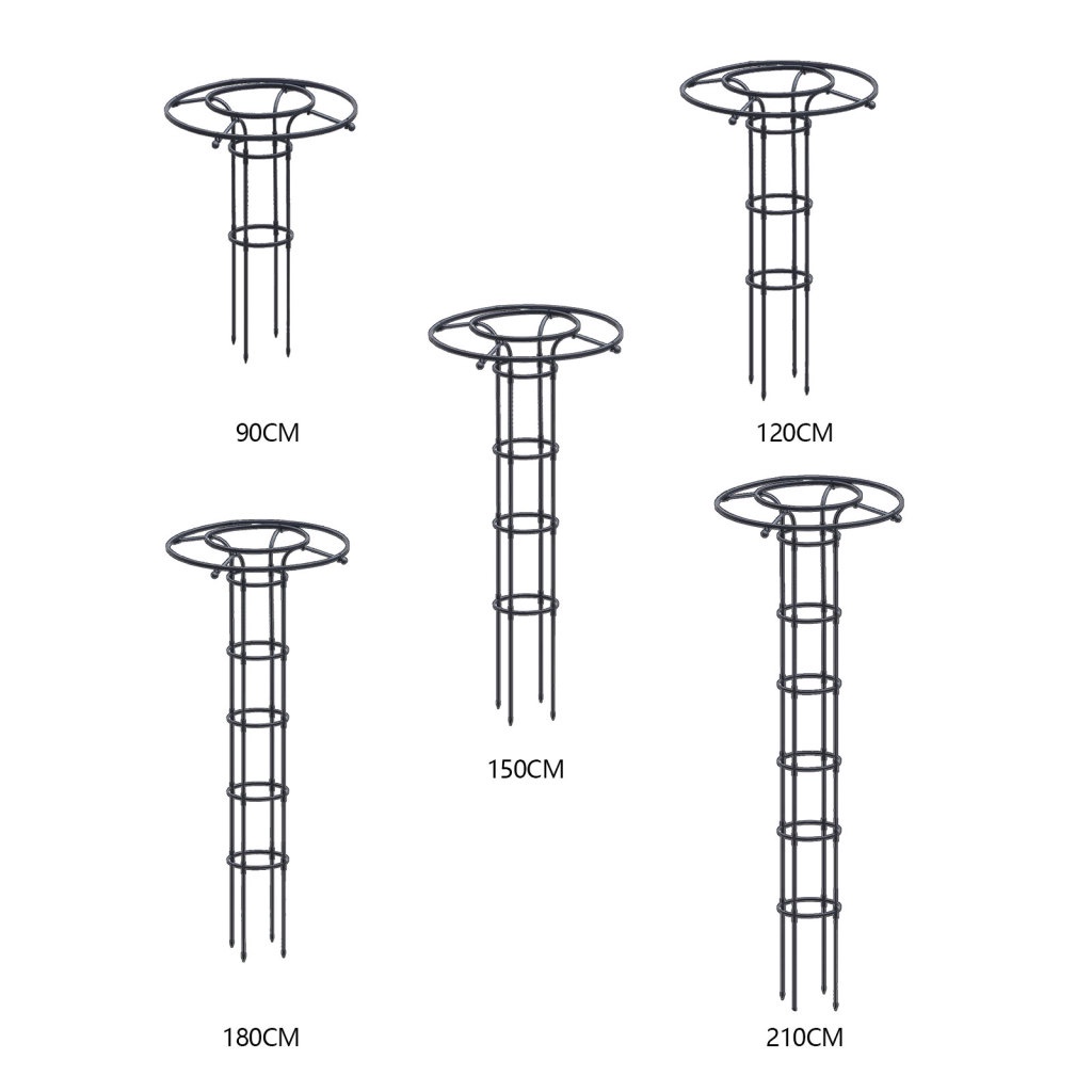 Khung Trồng Cây Dây Leo Bằng Sắt Bền Chống Rỉ Sét 2.1m