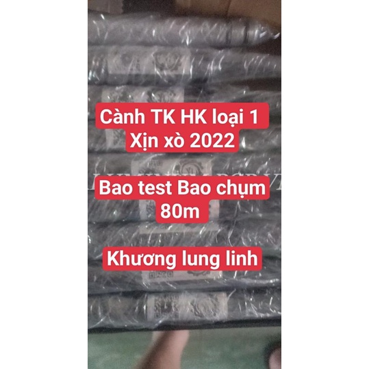 ỐNG THÉP ĐỊNH HÌNH TK HK LOẠI 1 DQ818