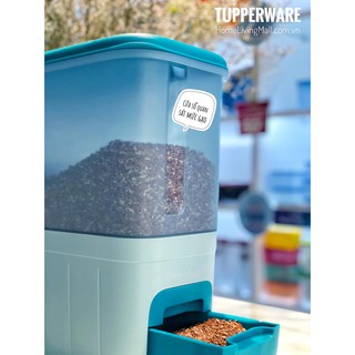 Thùng gạo Rice Dispenser 10kg