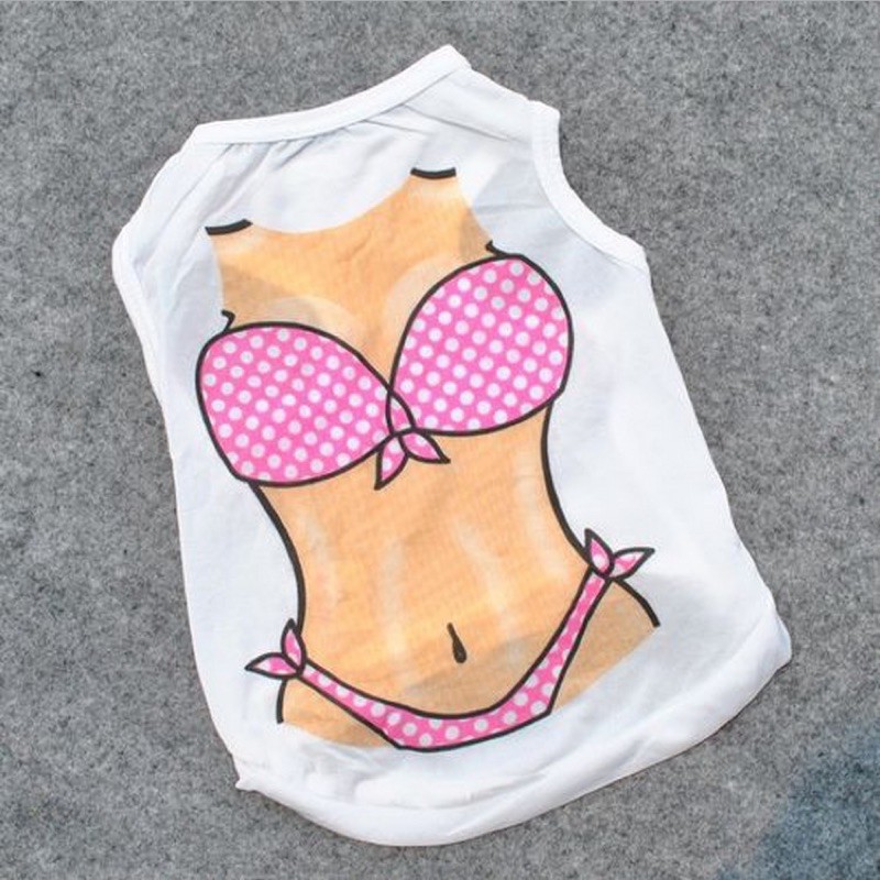 Bộ áo lưới sexy cho cún miu