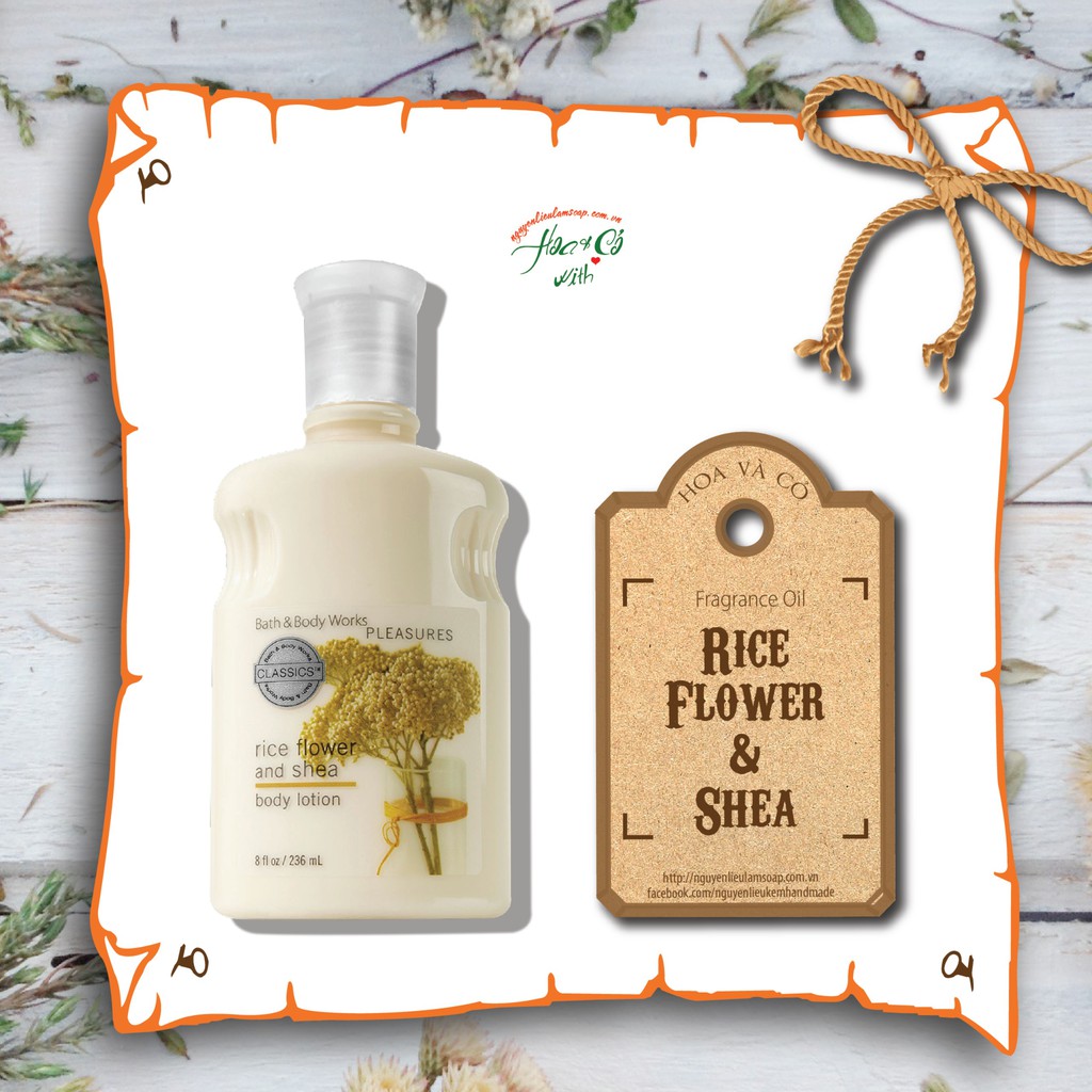 Hương Nước Hoa Rice Flower & Shea ( Rice Flower & Shea Fragrance Oil )